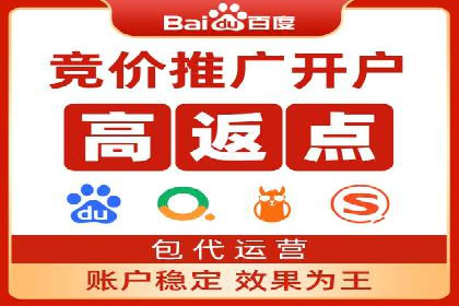 百度优化推广案例：打造行业领先品牌